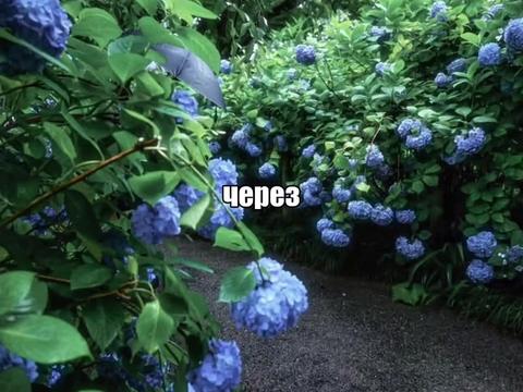 @𝐓𝐑𝐈𝐁𝐋𝐄𝐗