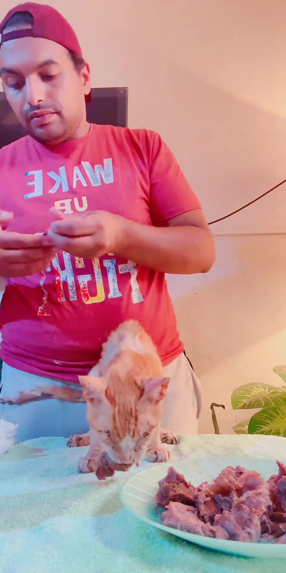 @mohammed and his cats😺