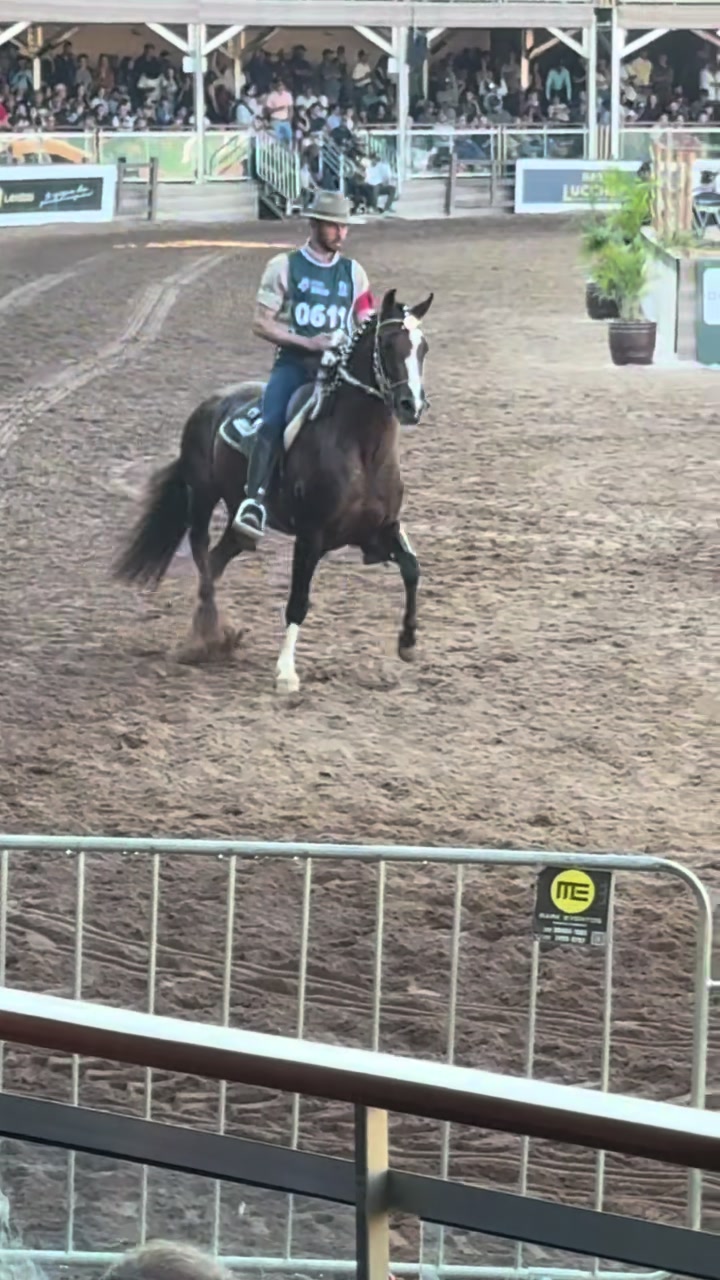 @Haras Recanto do Saraquino