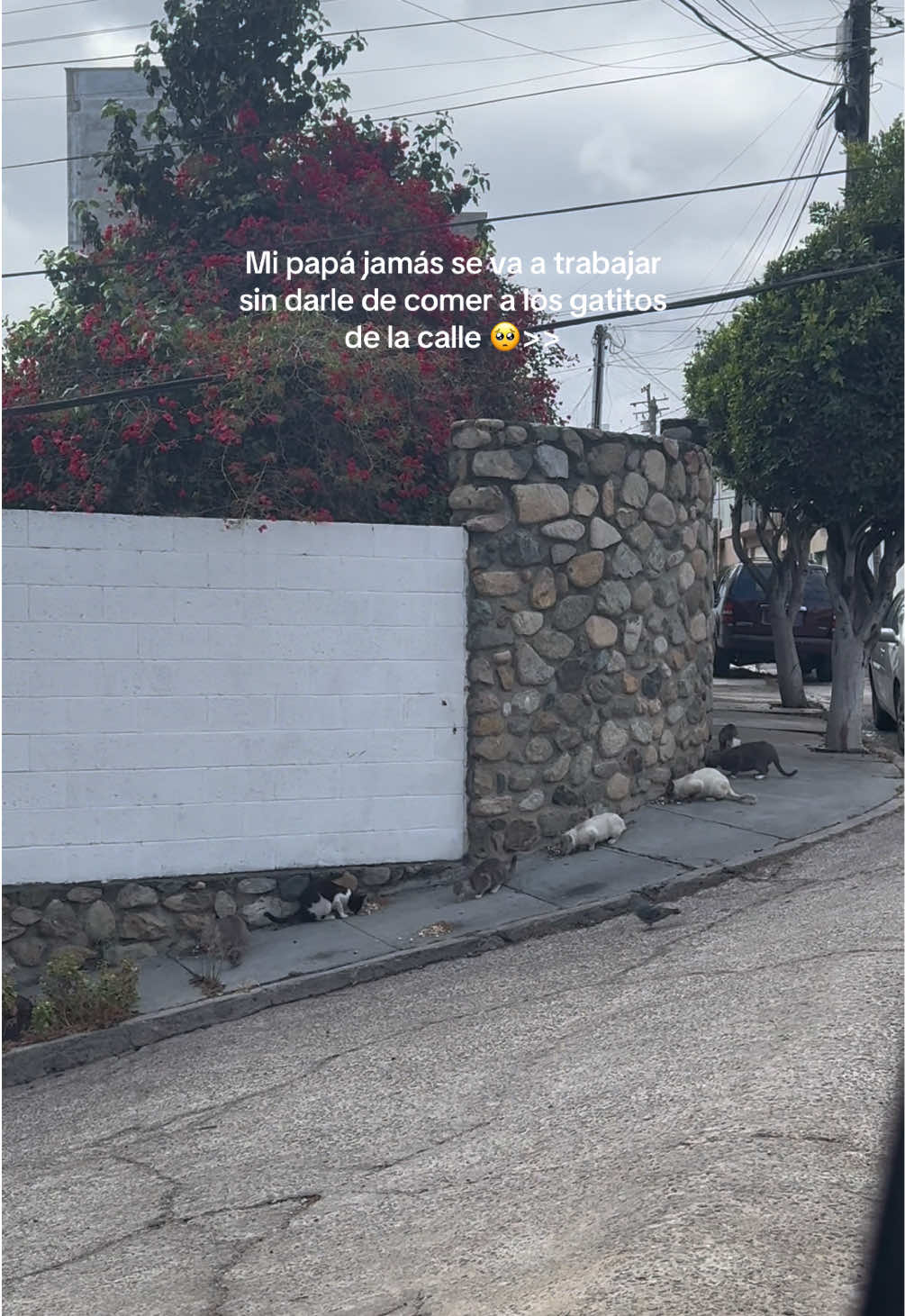 @Rebeca Sanmiguel