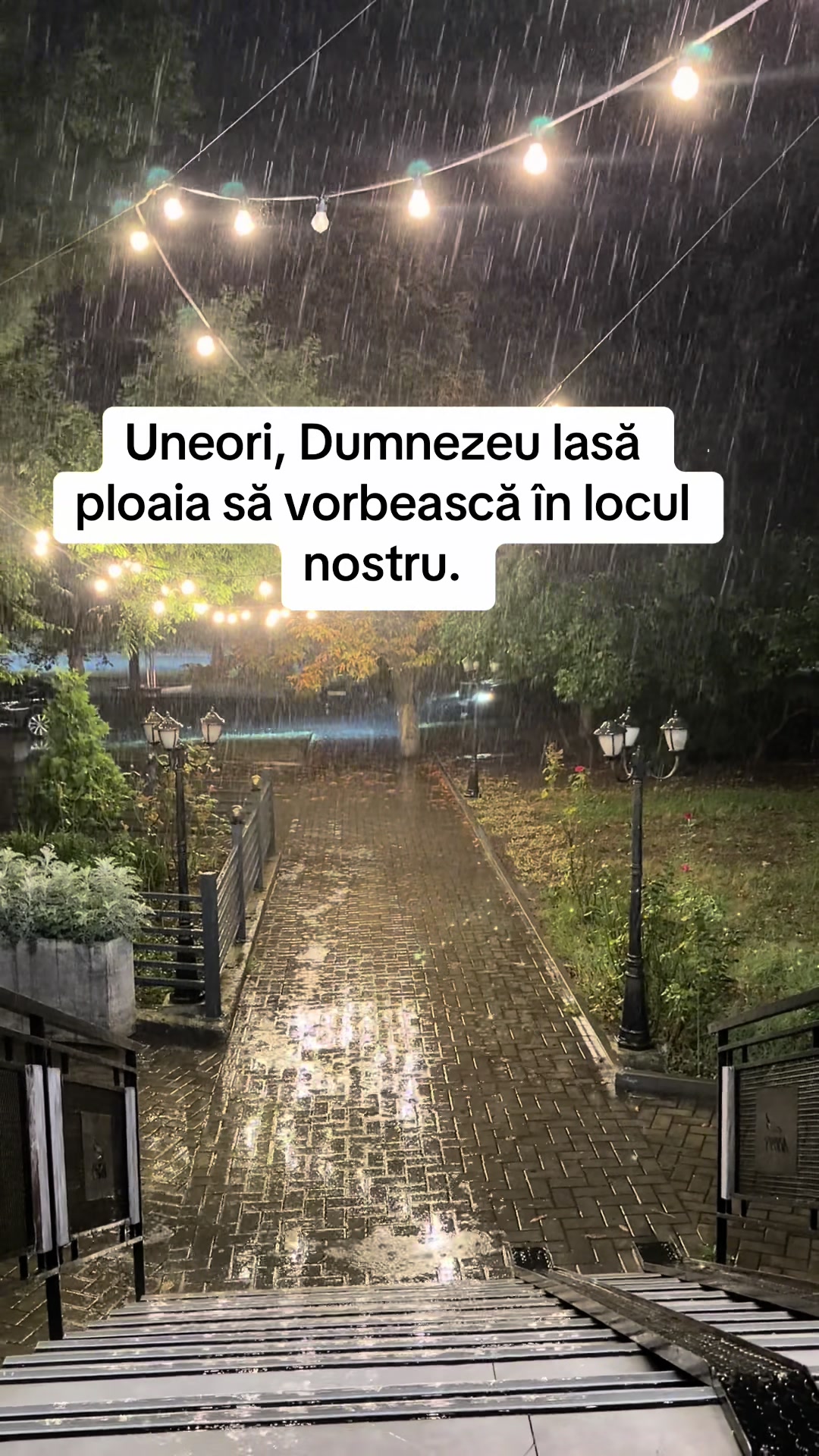 @Moldovan Gheorghe