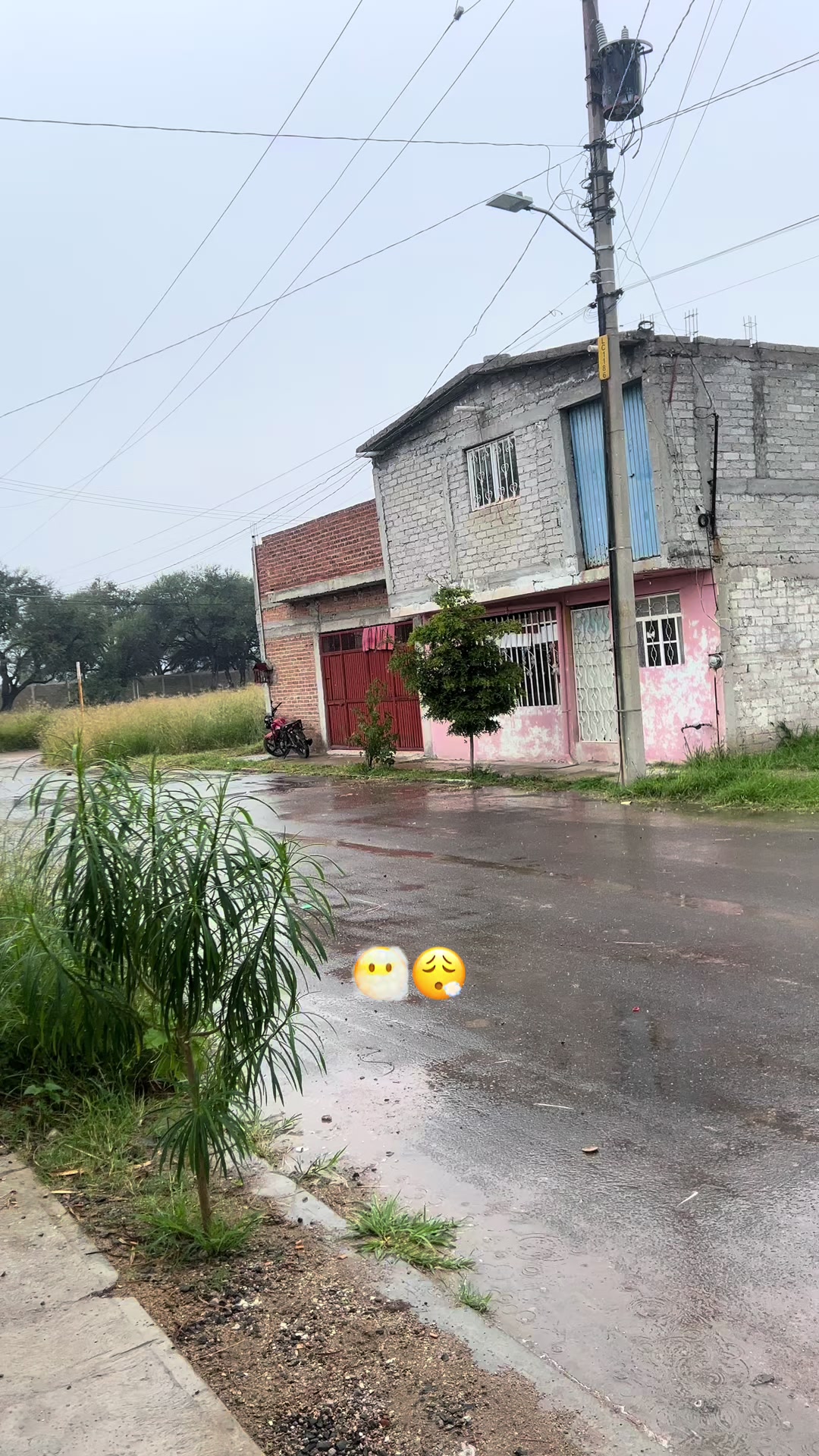 @𝐌𝐀𝐍𝐔𝐄𝐋