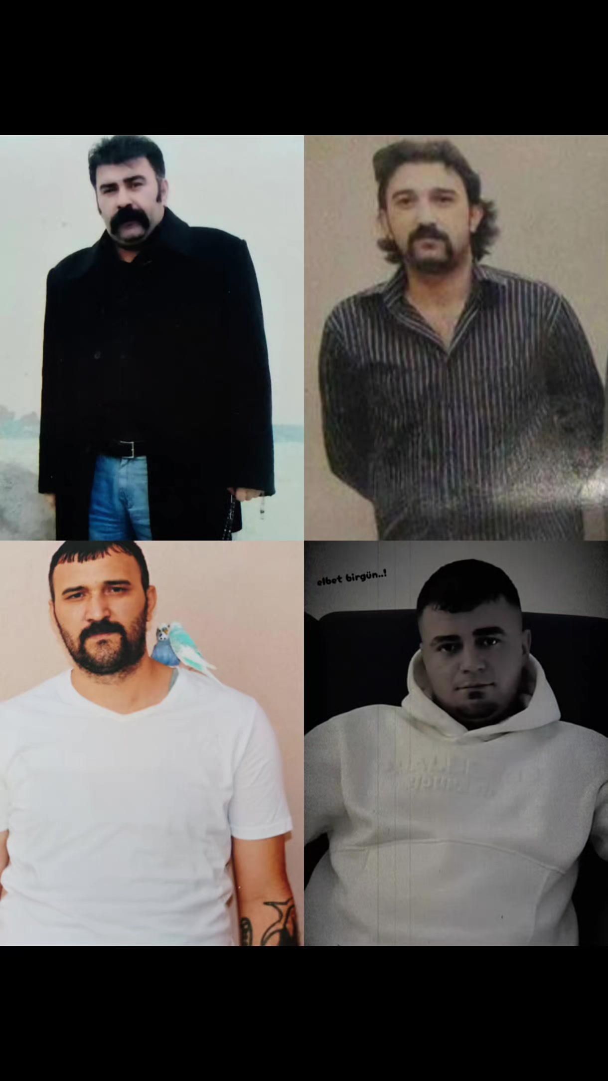 @🔗Aslan🕊️&Ouml;zt&uuml;rk🔗