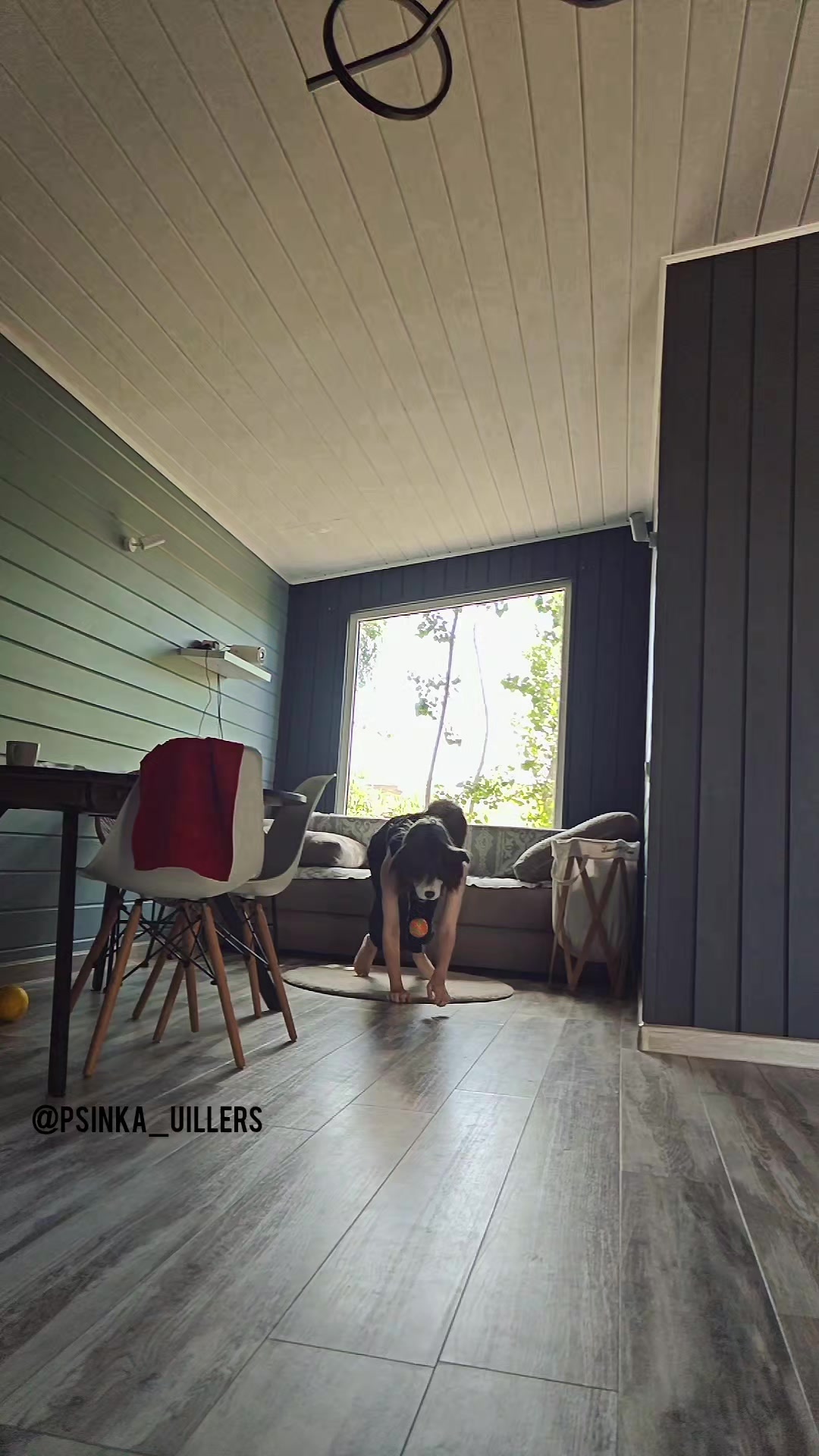 @──[🇩🇪] Dog✦༒Uiller || he/his