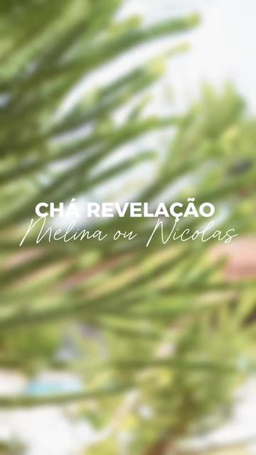 @Suiany morais ✨