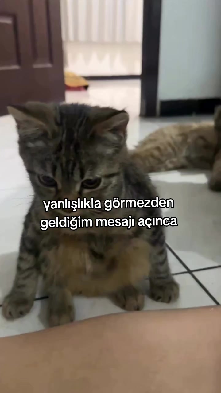 @rolland