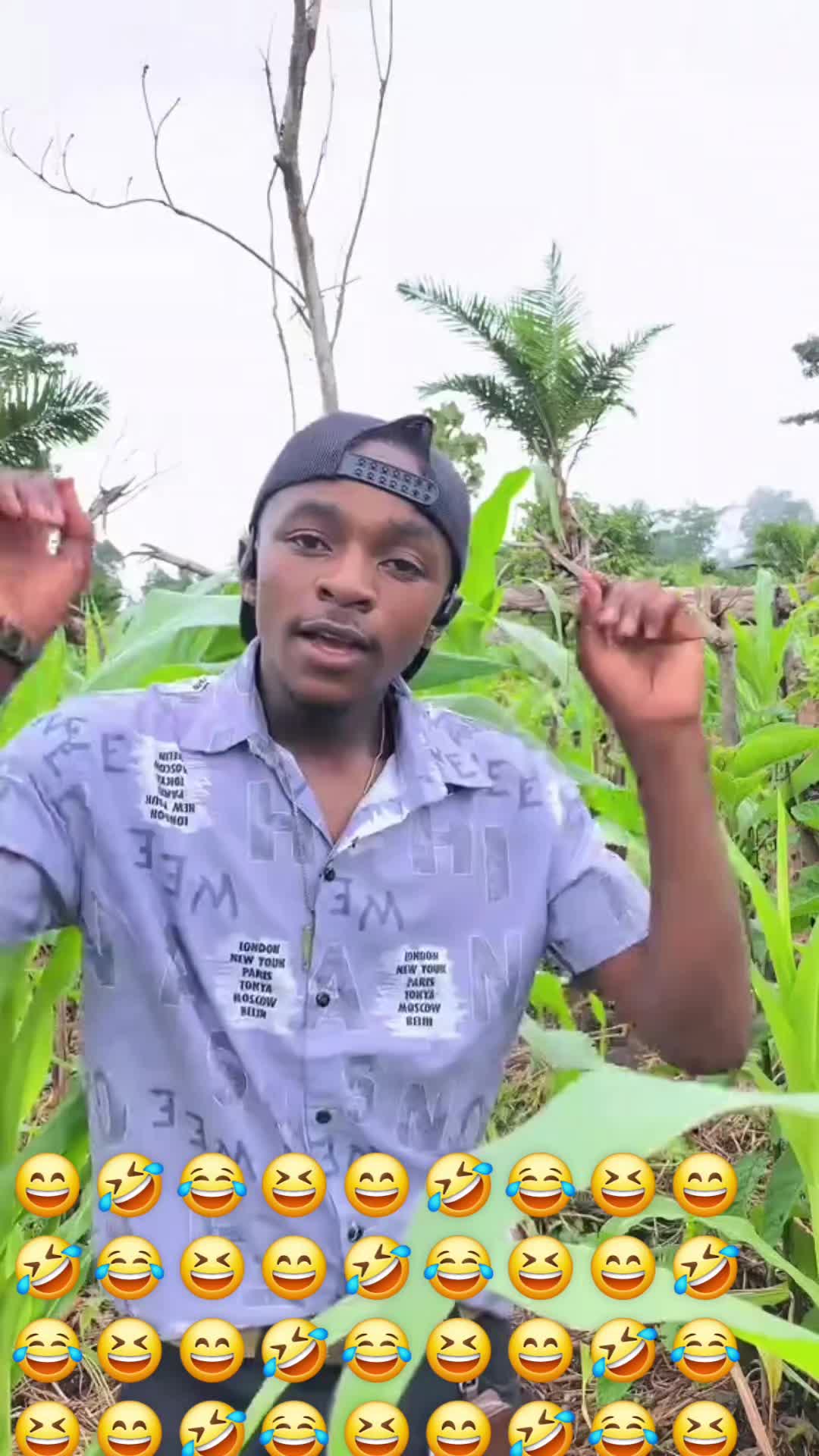 @chachiweka