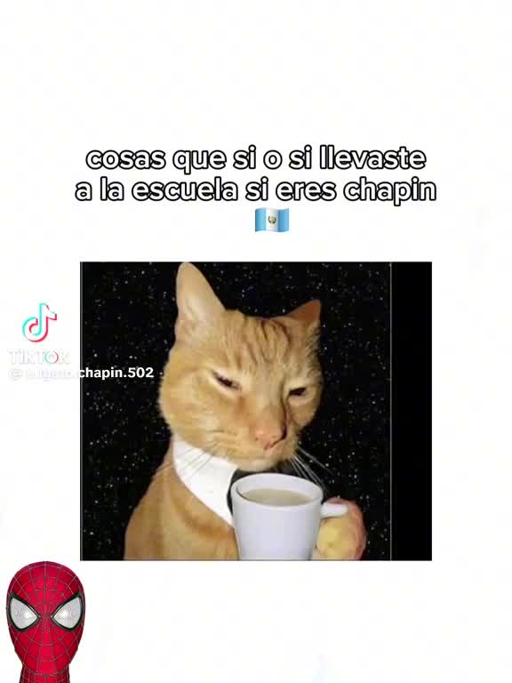 @edvin k