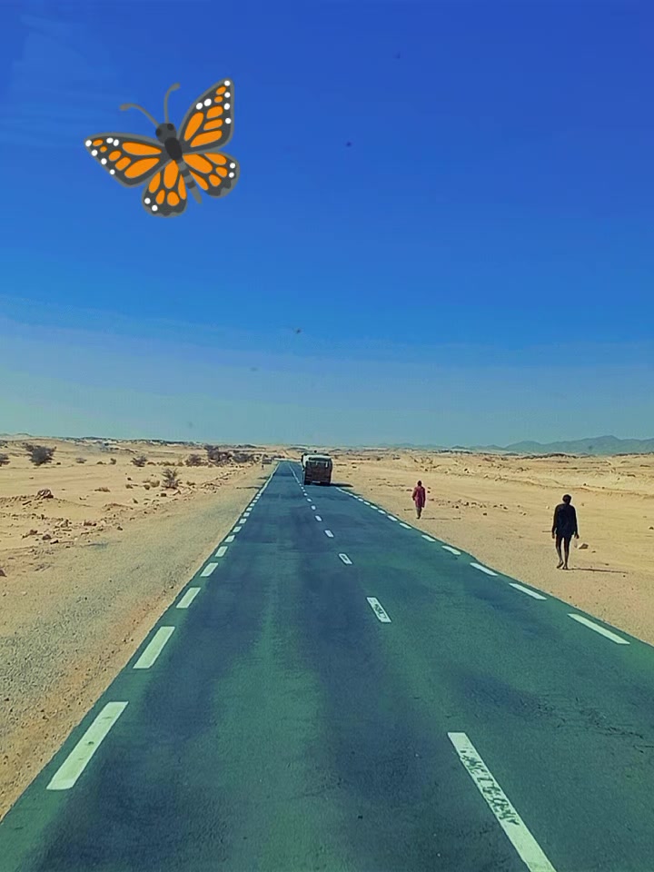 @☯️DZ🇩🇿🦋🥷