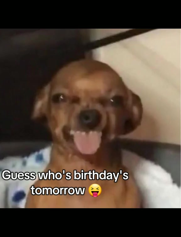 @YOᑌ ᗩᖇᗴ ᗪᑌᗰᗷ😃