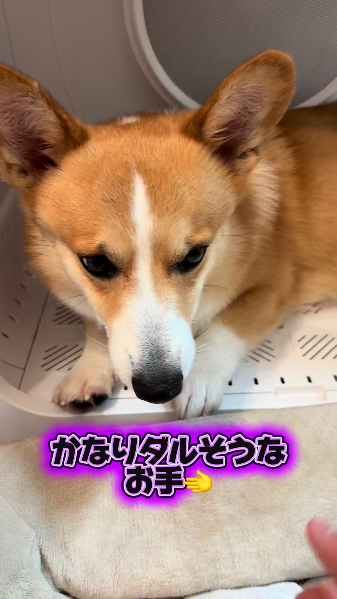 @トロン
