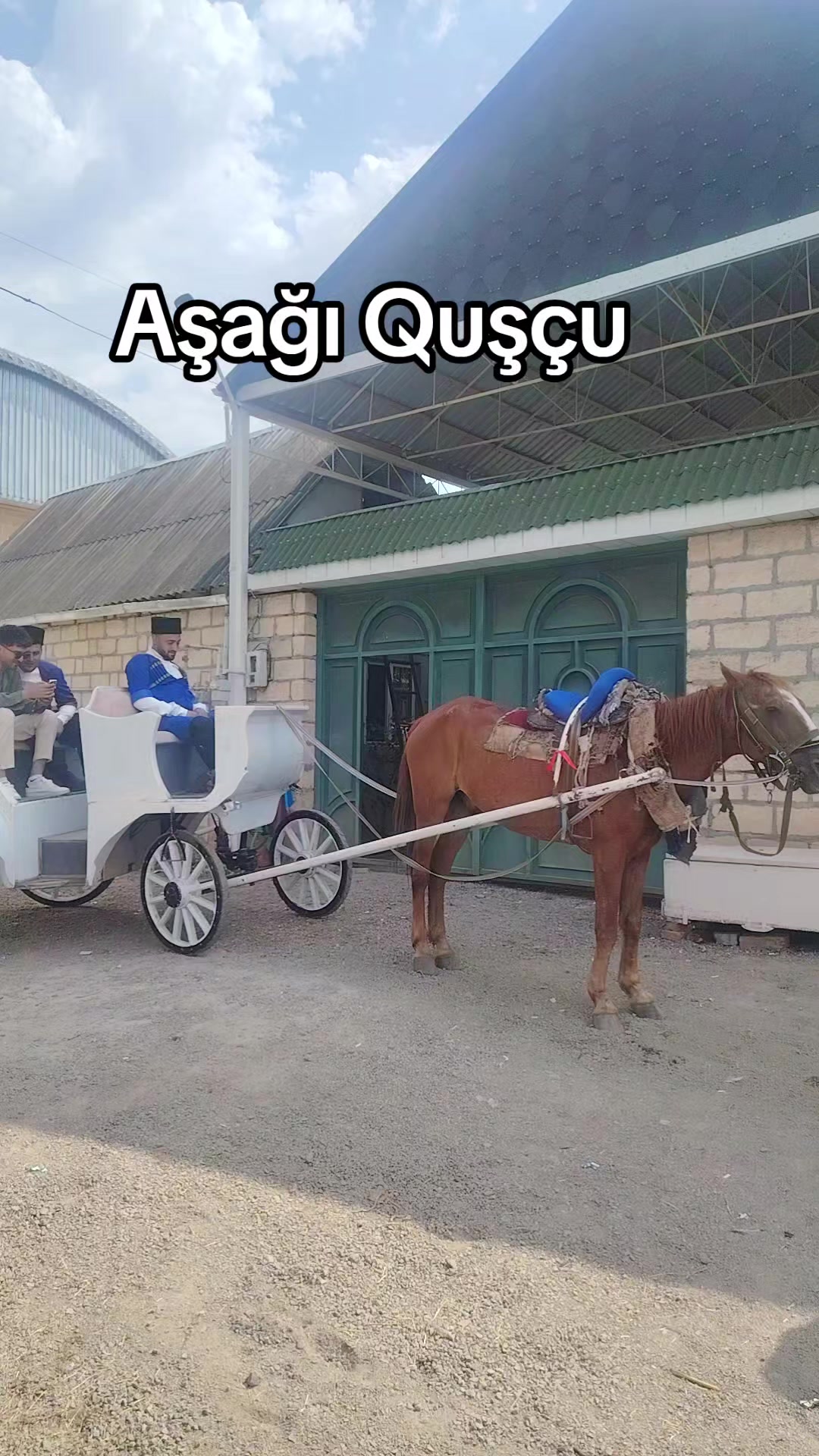 @ZİRVƏ RƏQS ANSAMBLI TOVUZ
