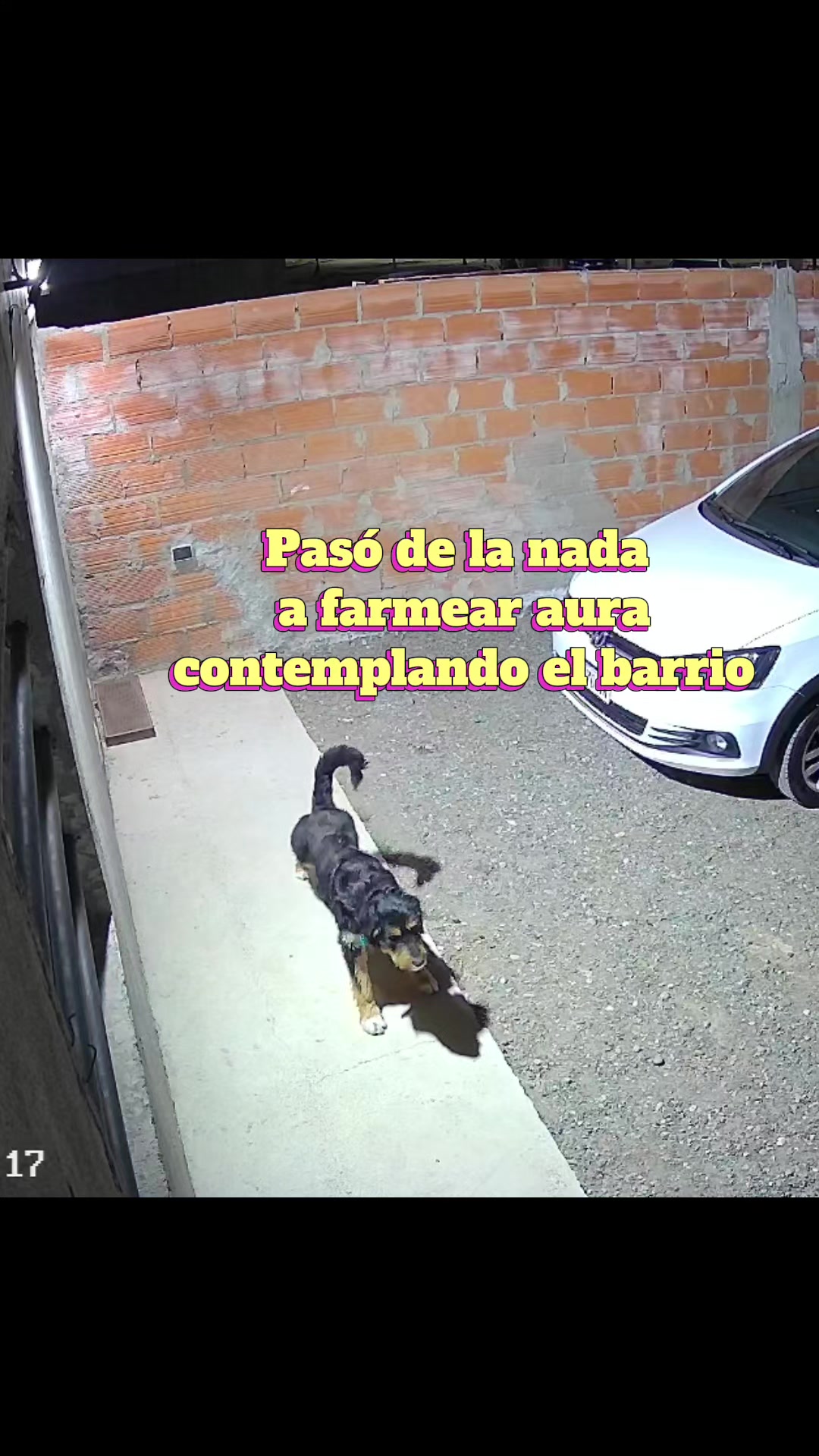 @Ro Alonso