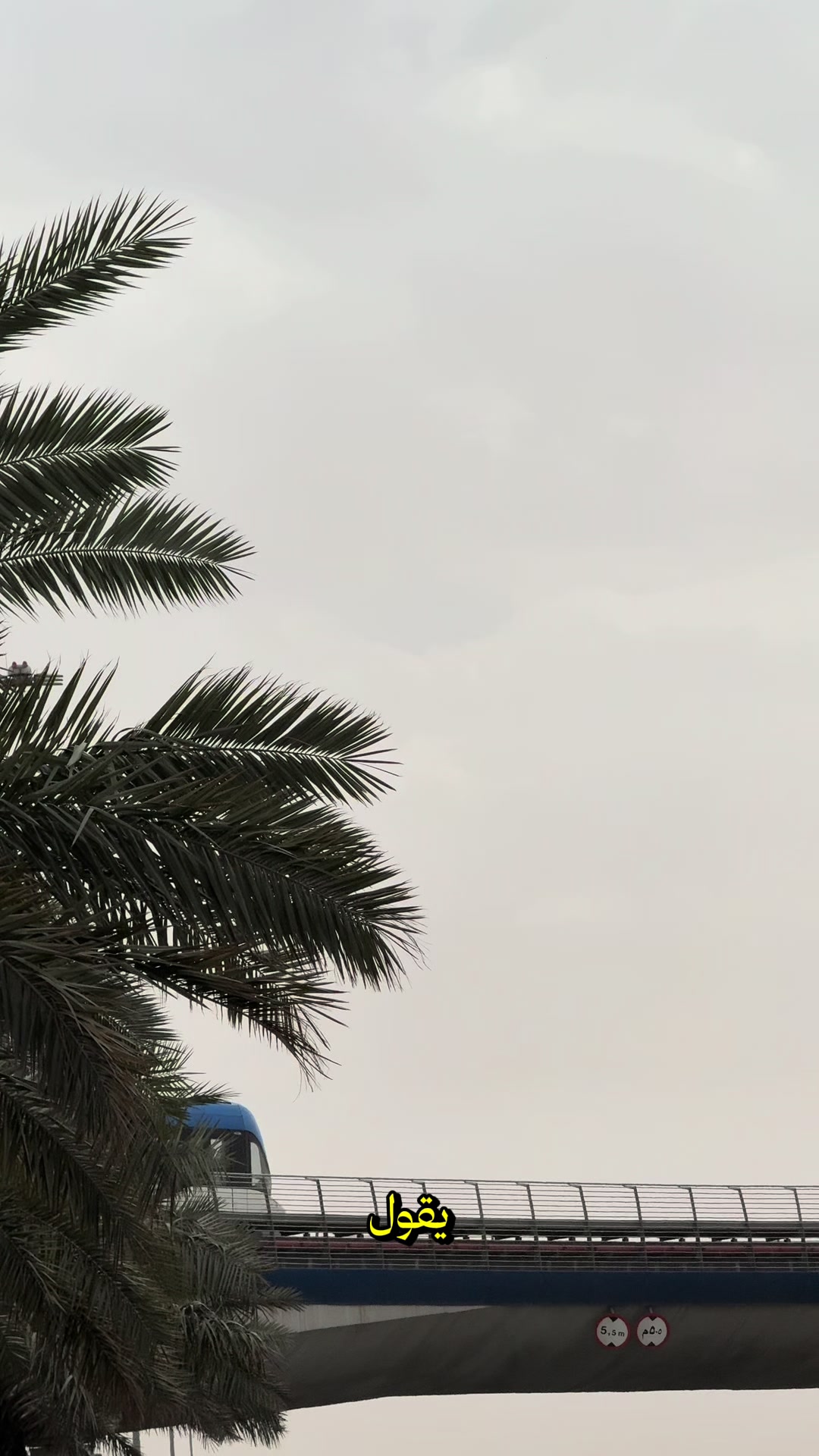@الشاب عزيز 📸 موثوق 🎖️