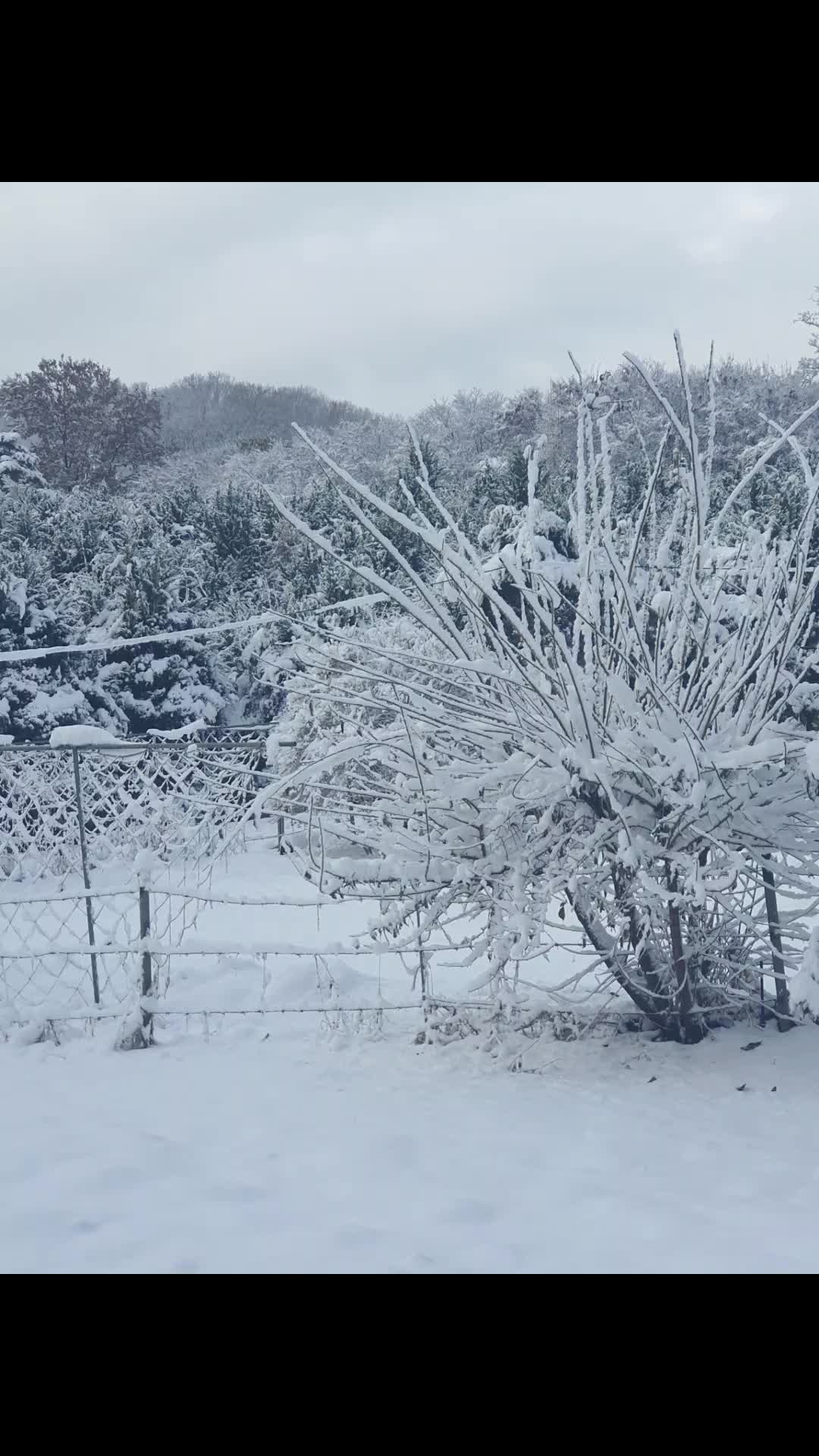 @(주)아남테크원