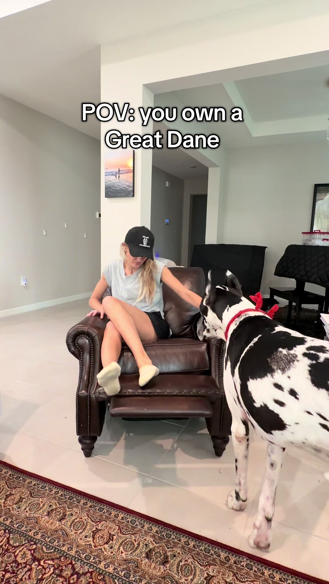 @Greyson the Great Dane