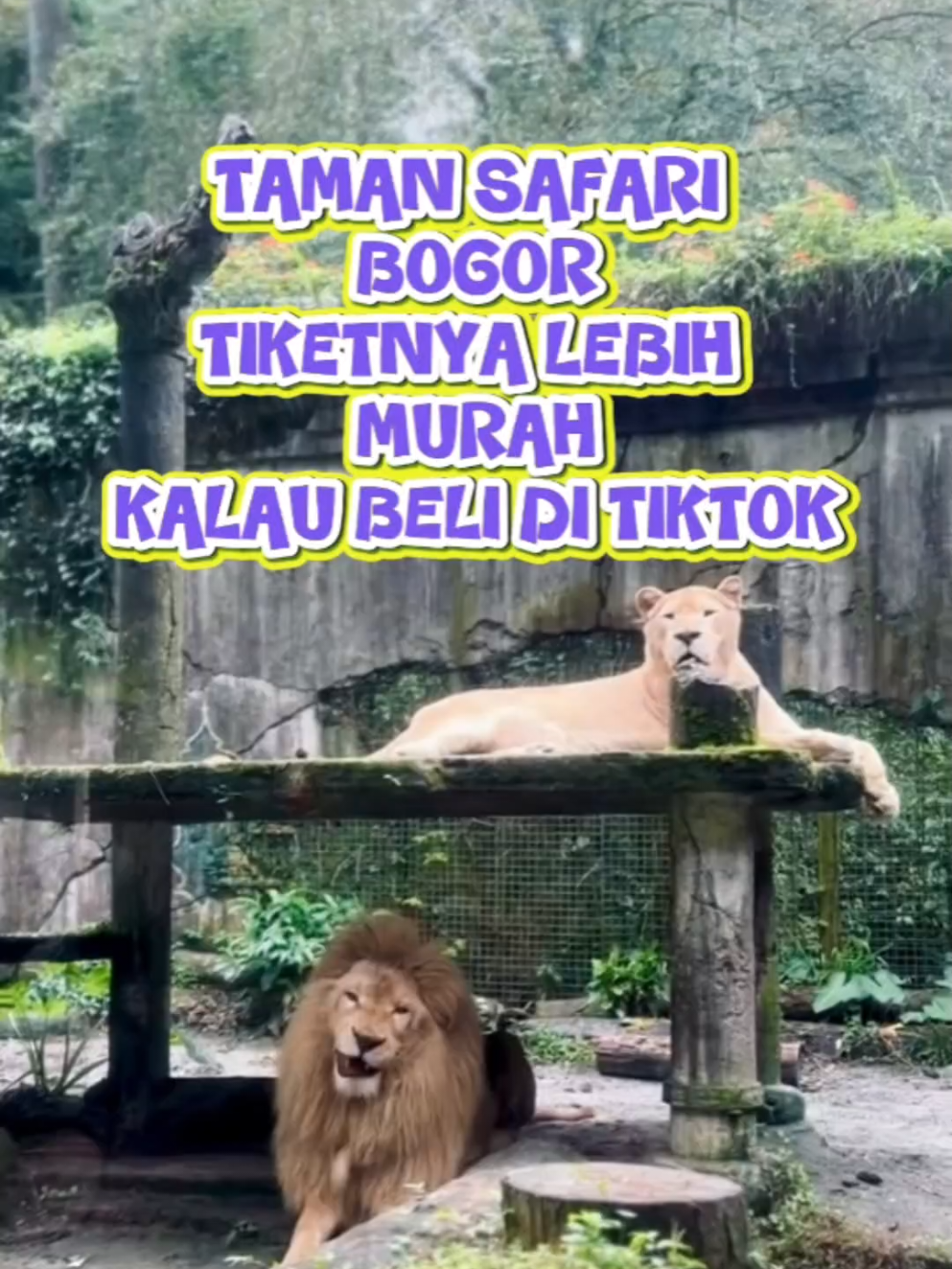 @MPOKFITRI12