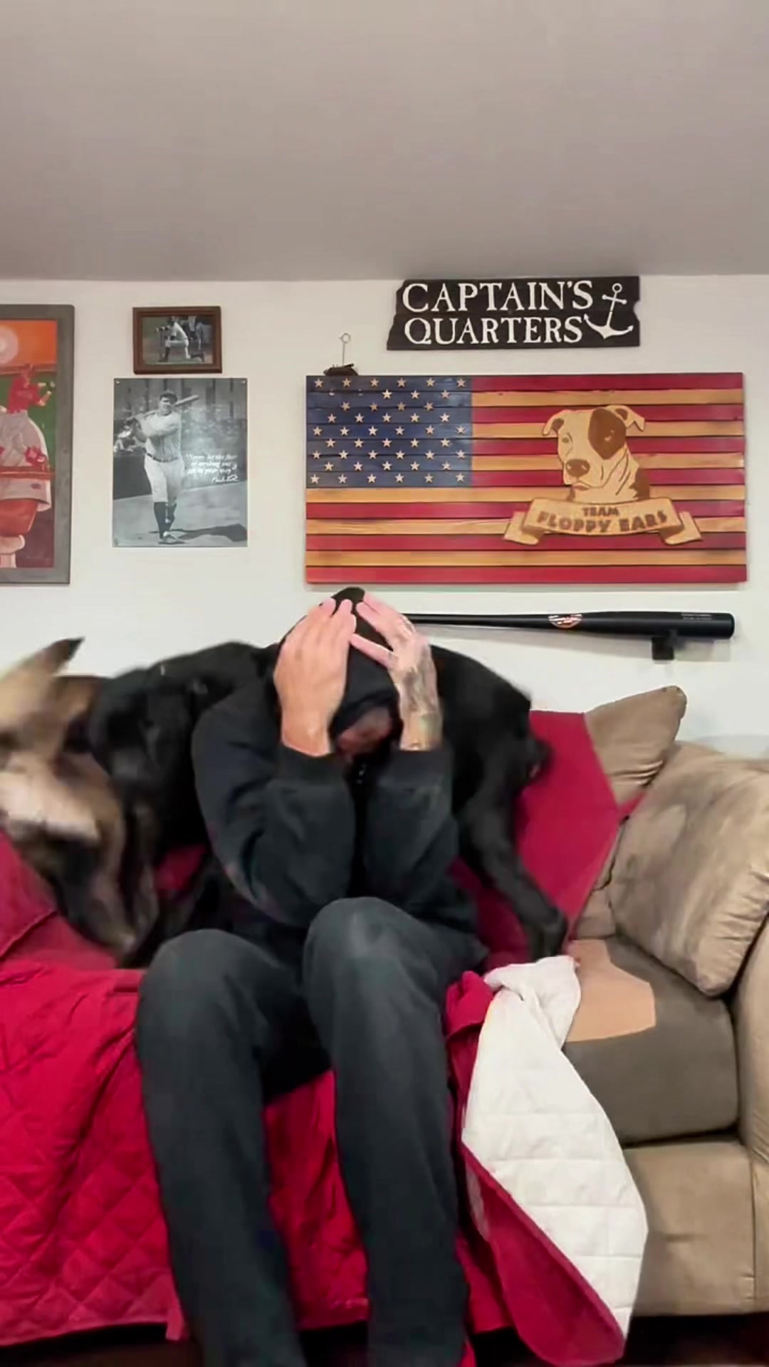 @dogsagaz