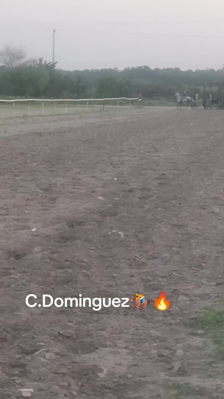 @🇲🇽EL CHAMÁN 🏇 🇲🇽
