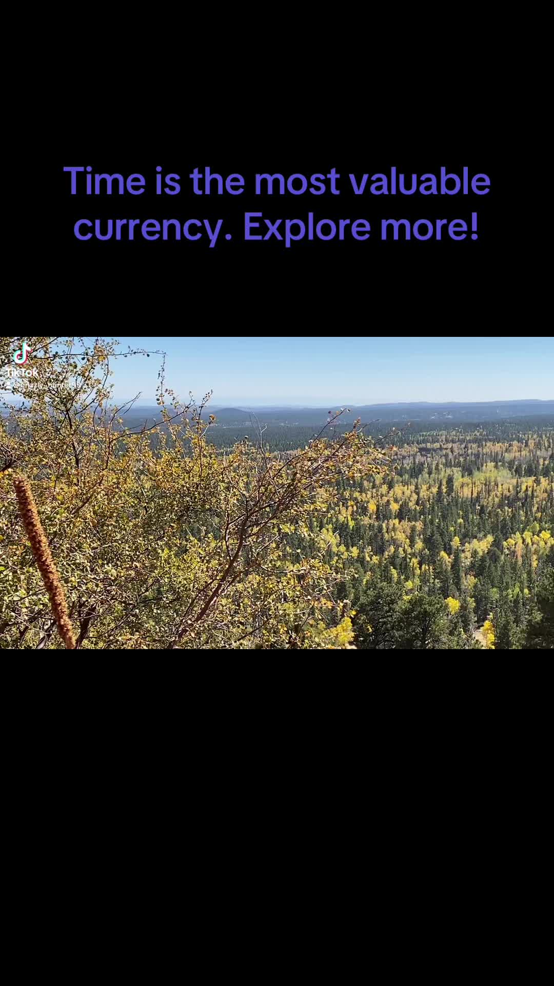 @grizzly_