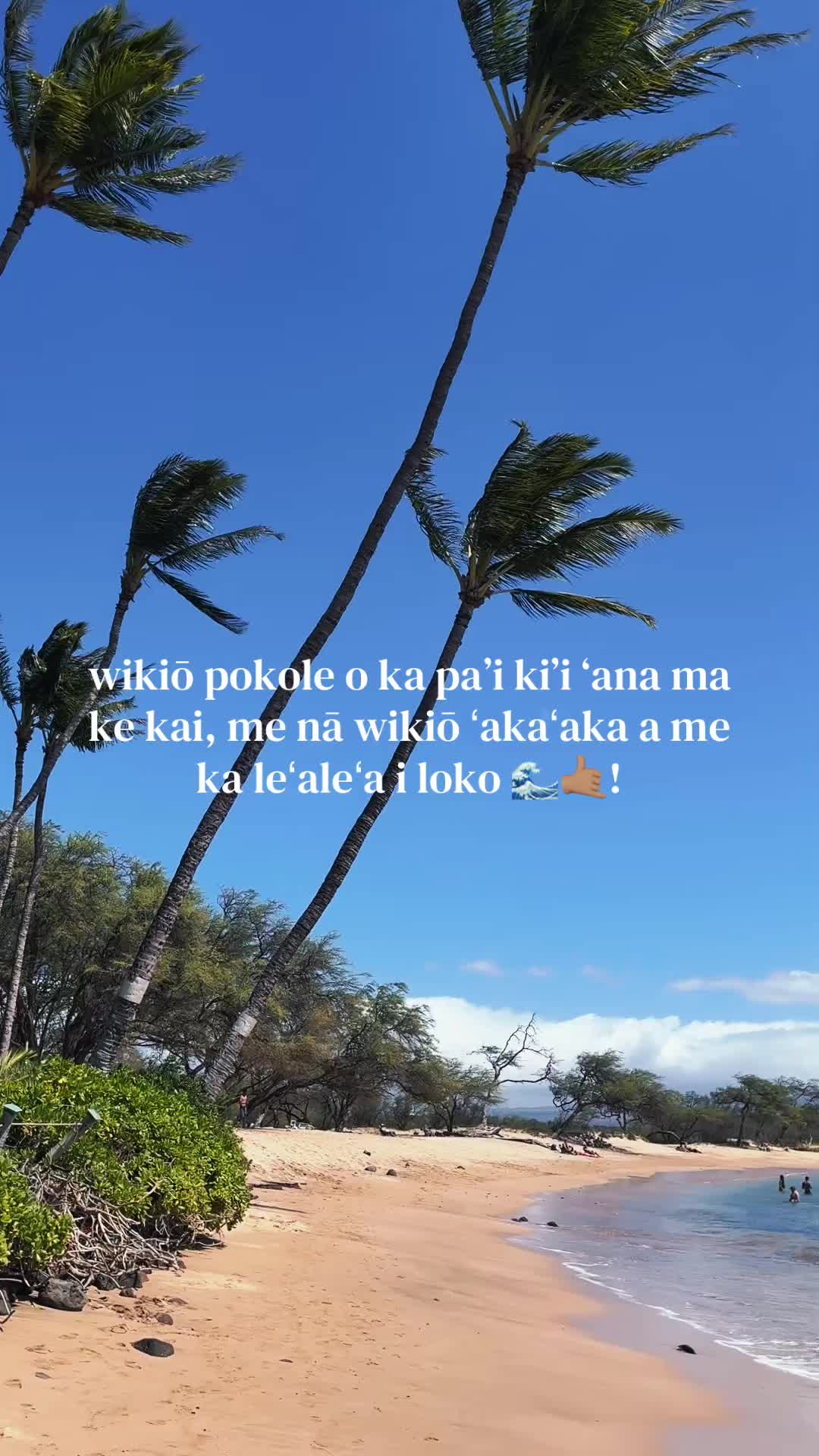 @kamalani keli&rsquo;iwaiwai&rsquo;ole