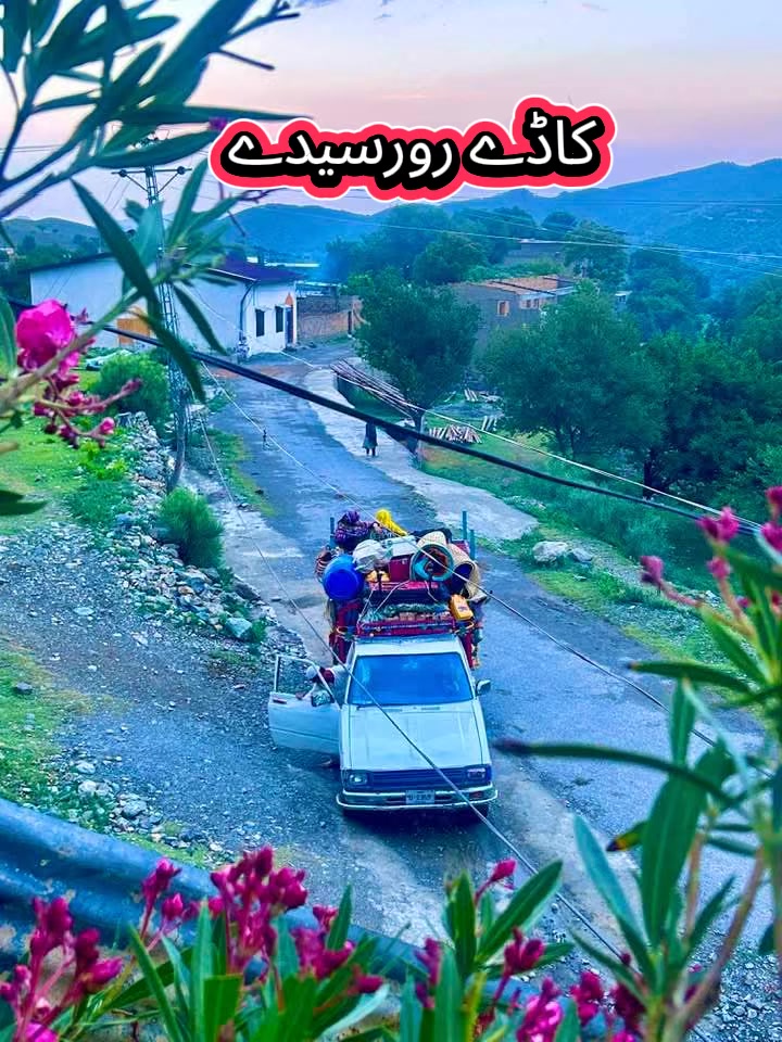 @🌹🌹وزیرستان گلونہ🌹🌹