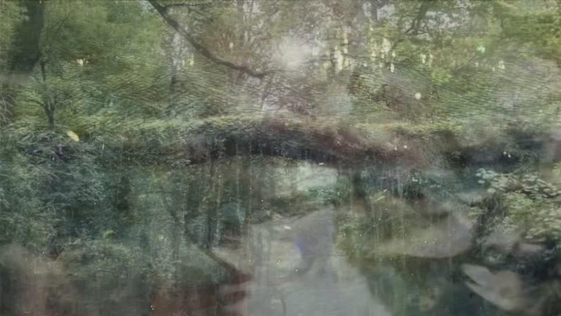 @𓆸
