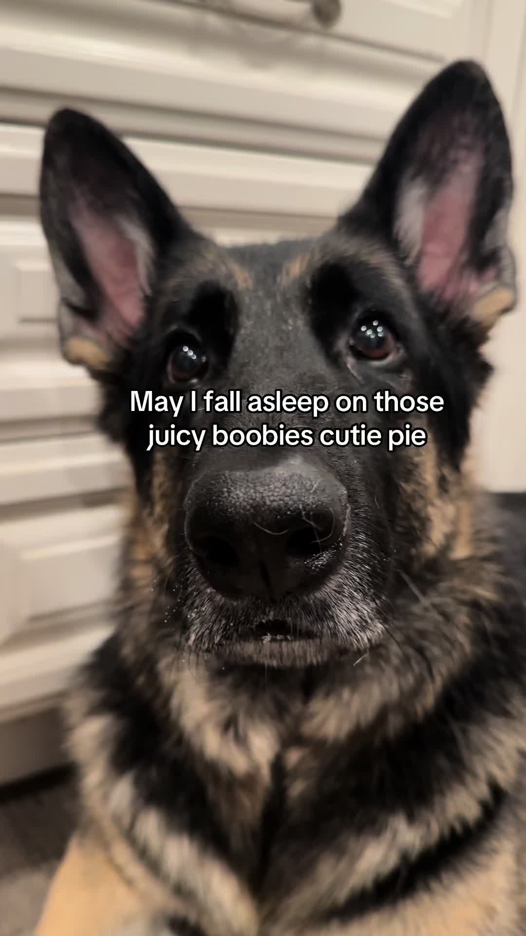 @Bhris