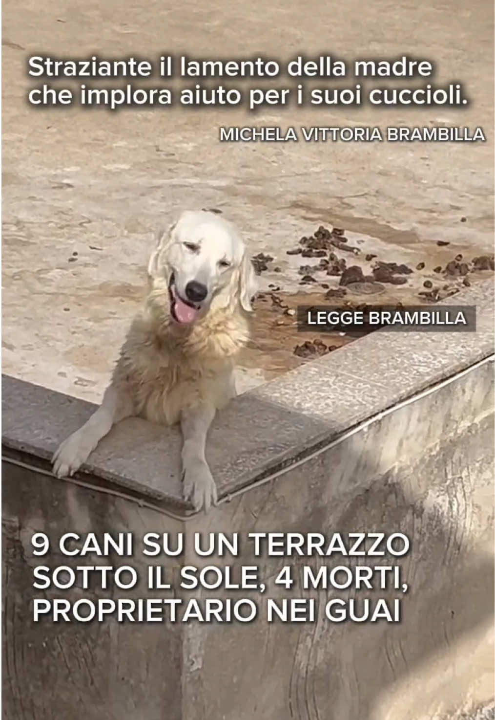 @Michela Vittoria Brambilla