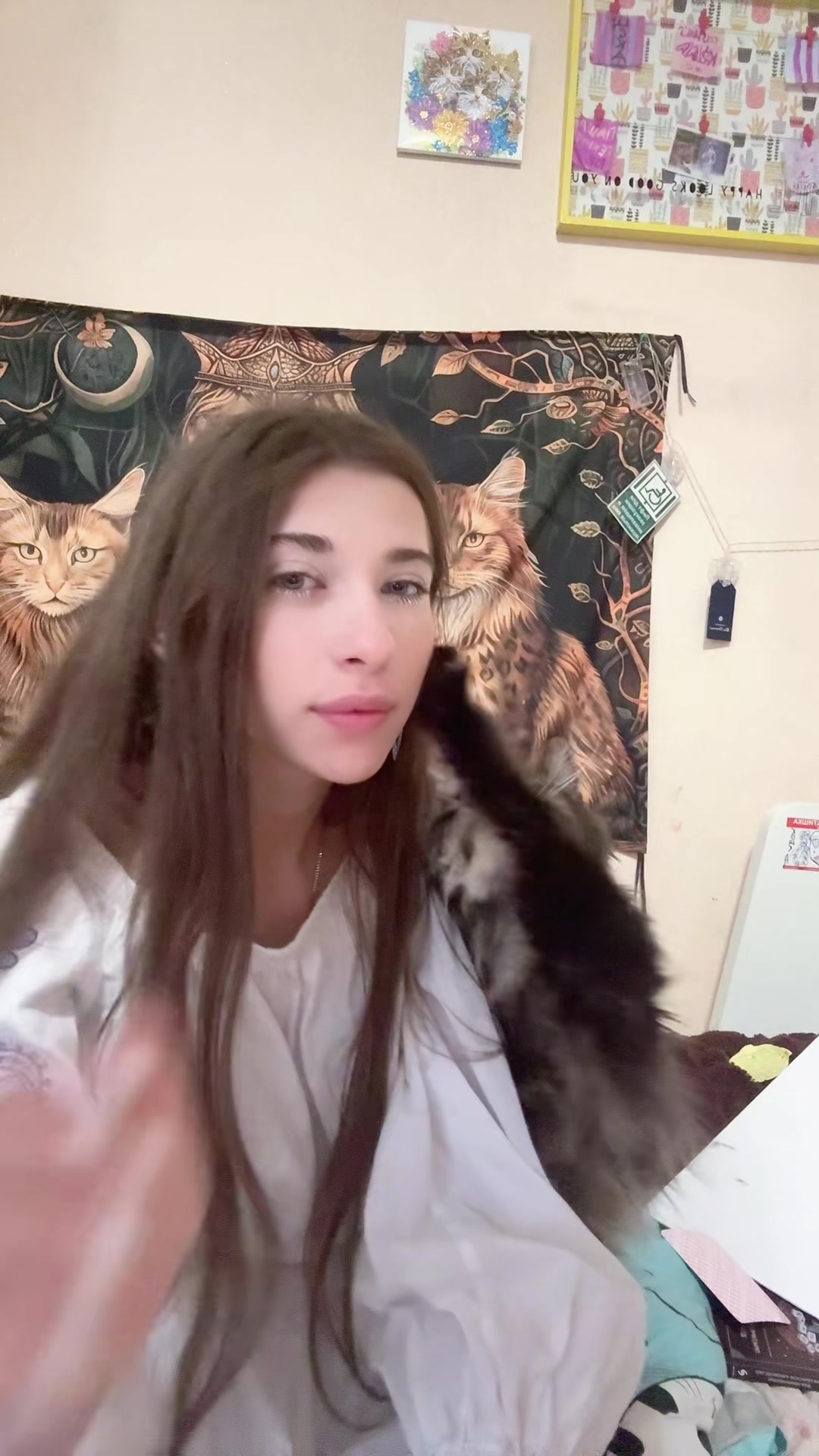 @кошка
