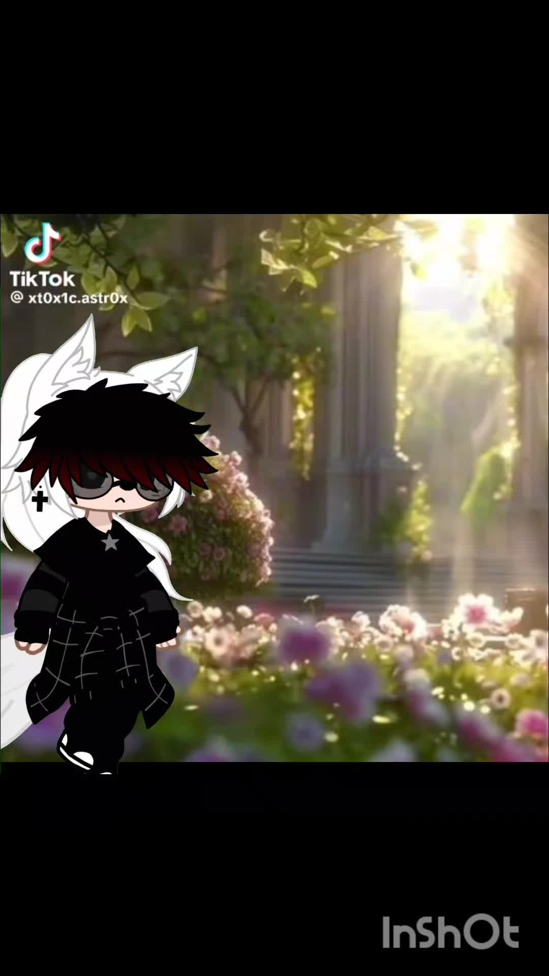 @•𝓚𝓲𝓽𝓽𝓮𝓷•