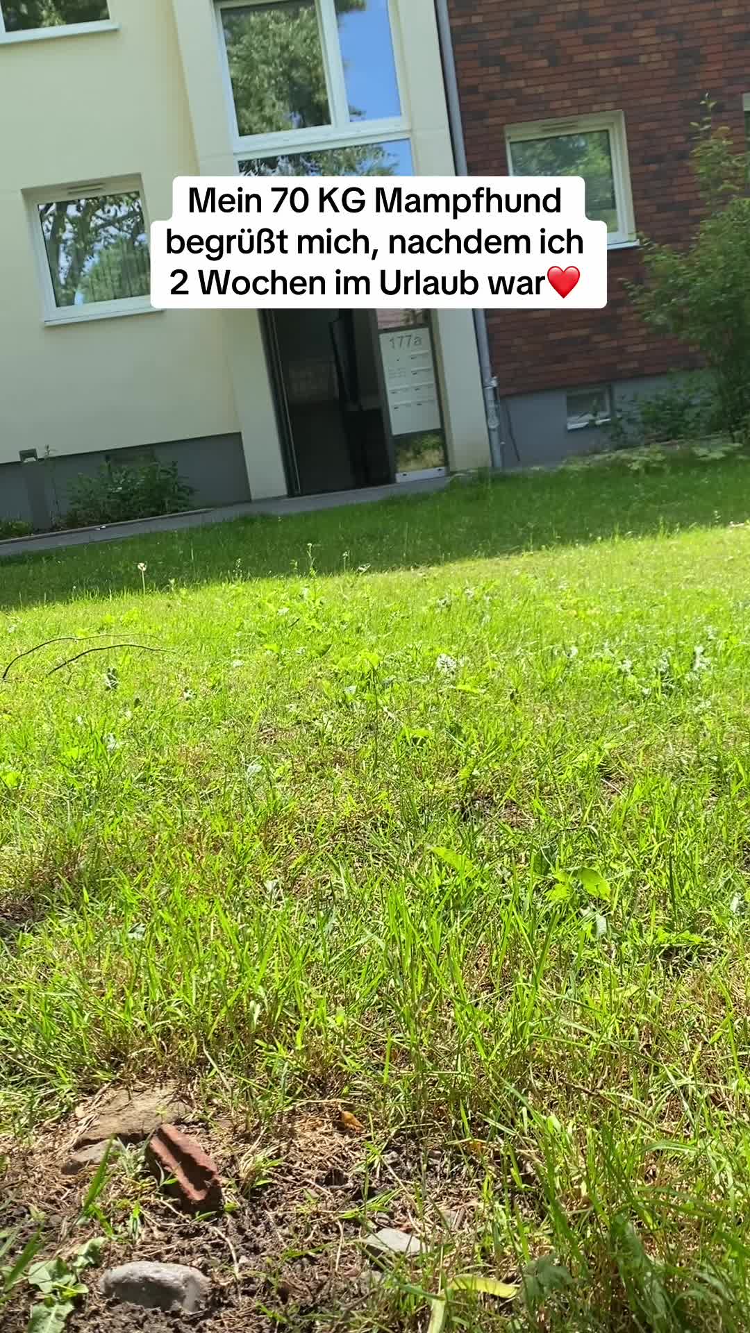 @XXLBALU