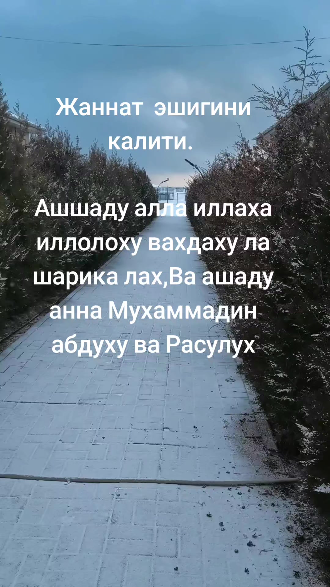 @оллох ягонадур