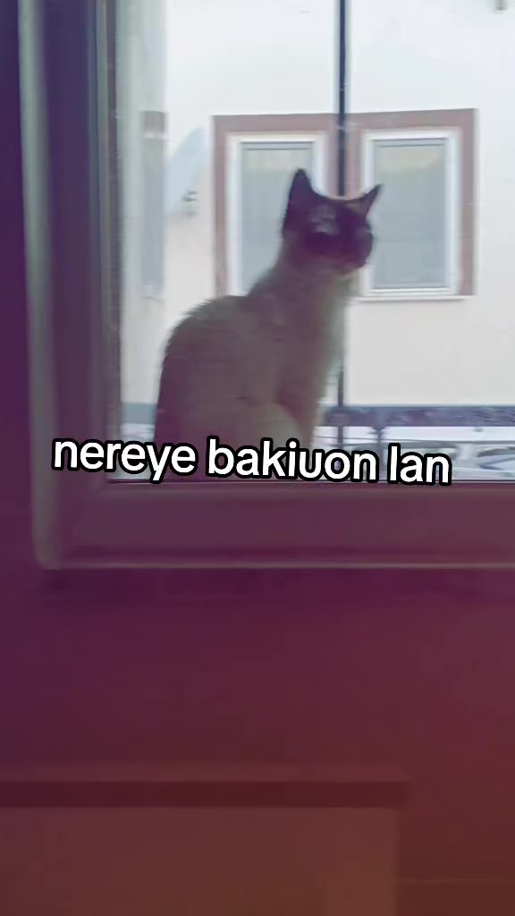 @༒Nisa༒