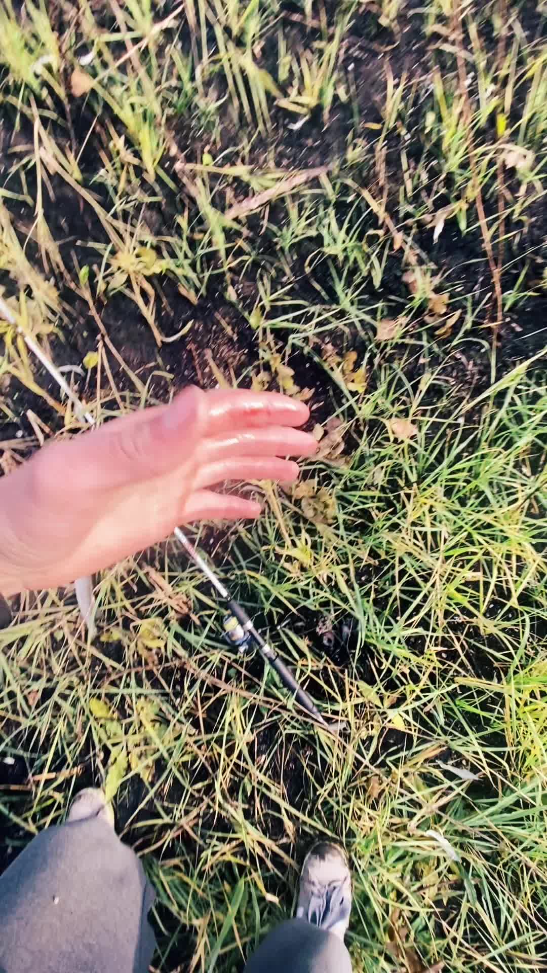 @ЖИВОЙ 🫩