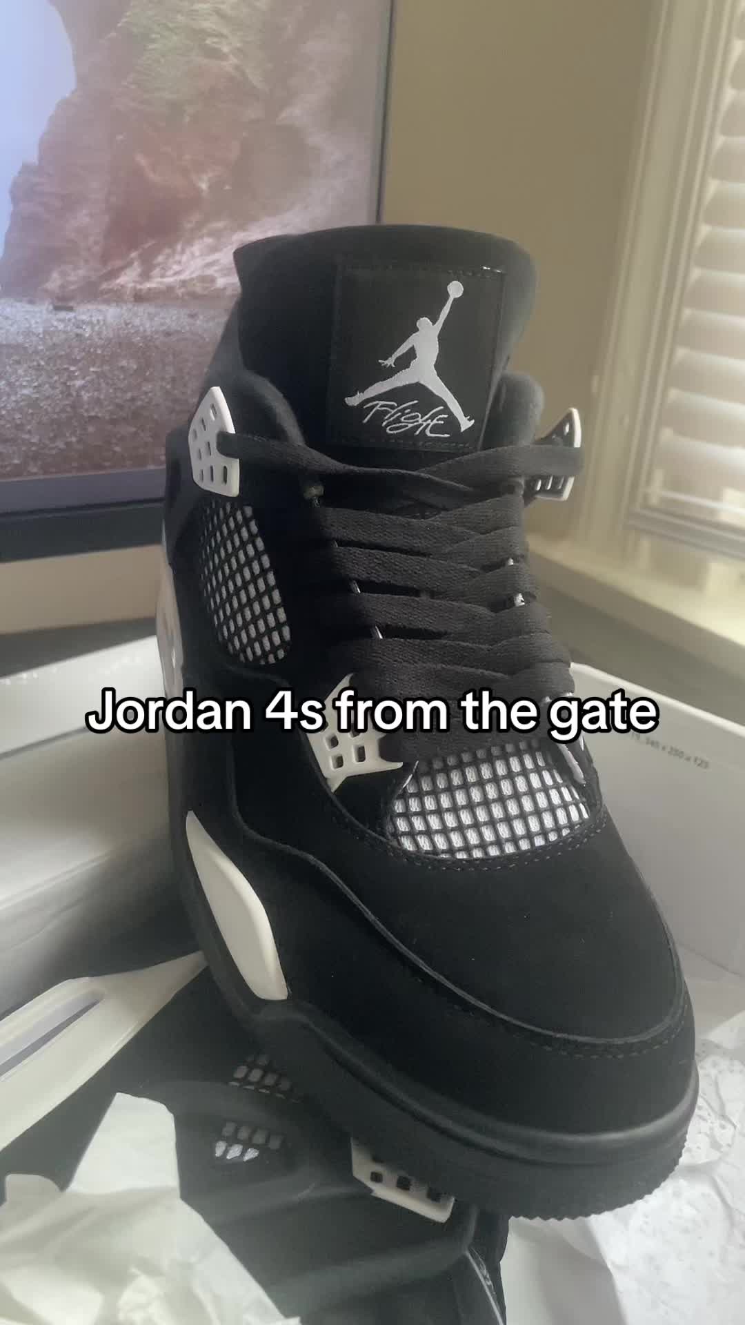 @dhreviews010