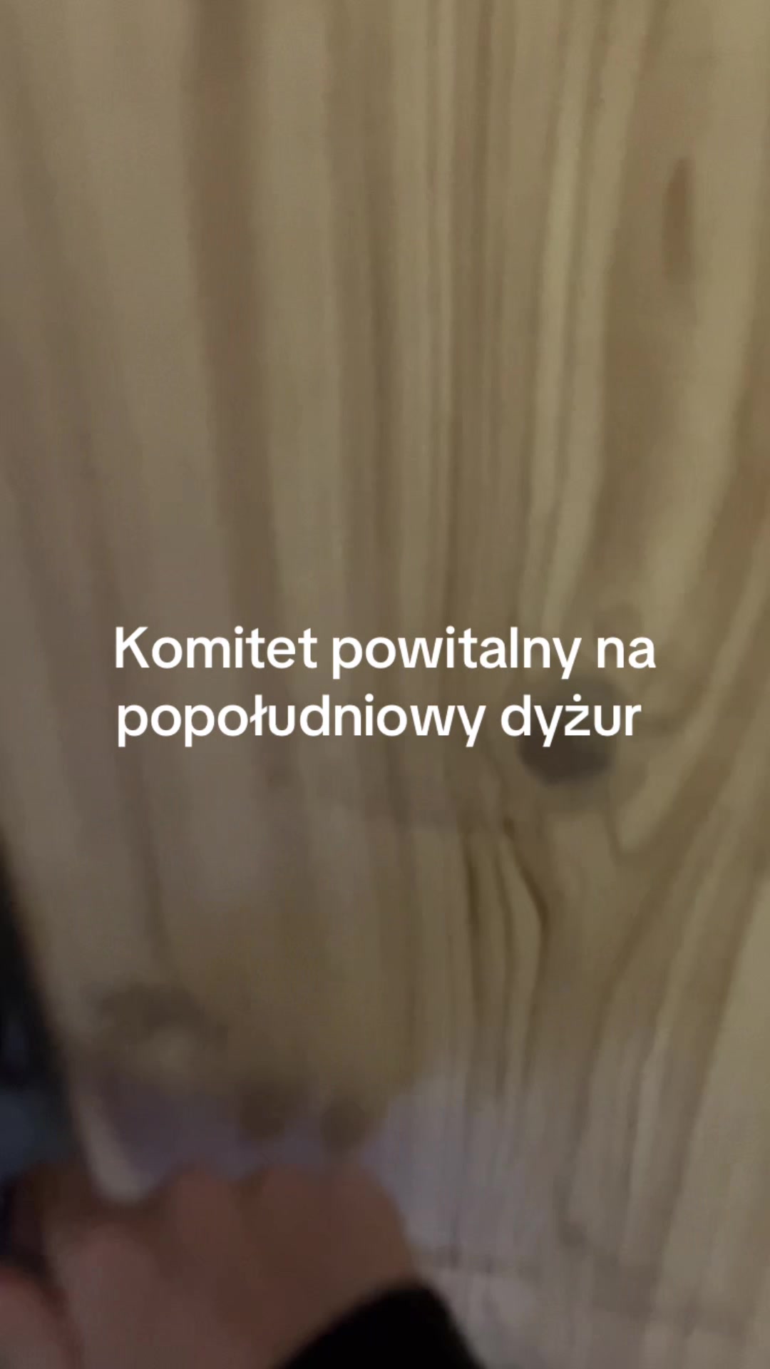 @Wodzisławskie Psy i Koty 😻🥺