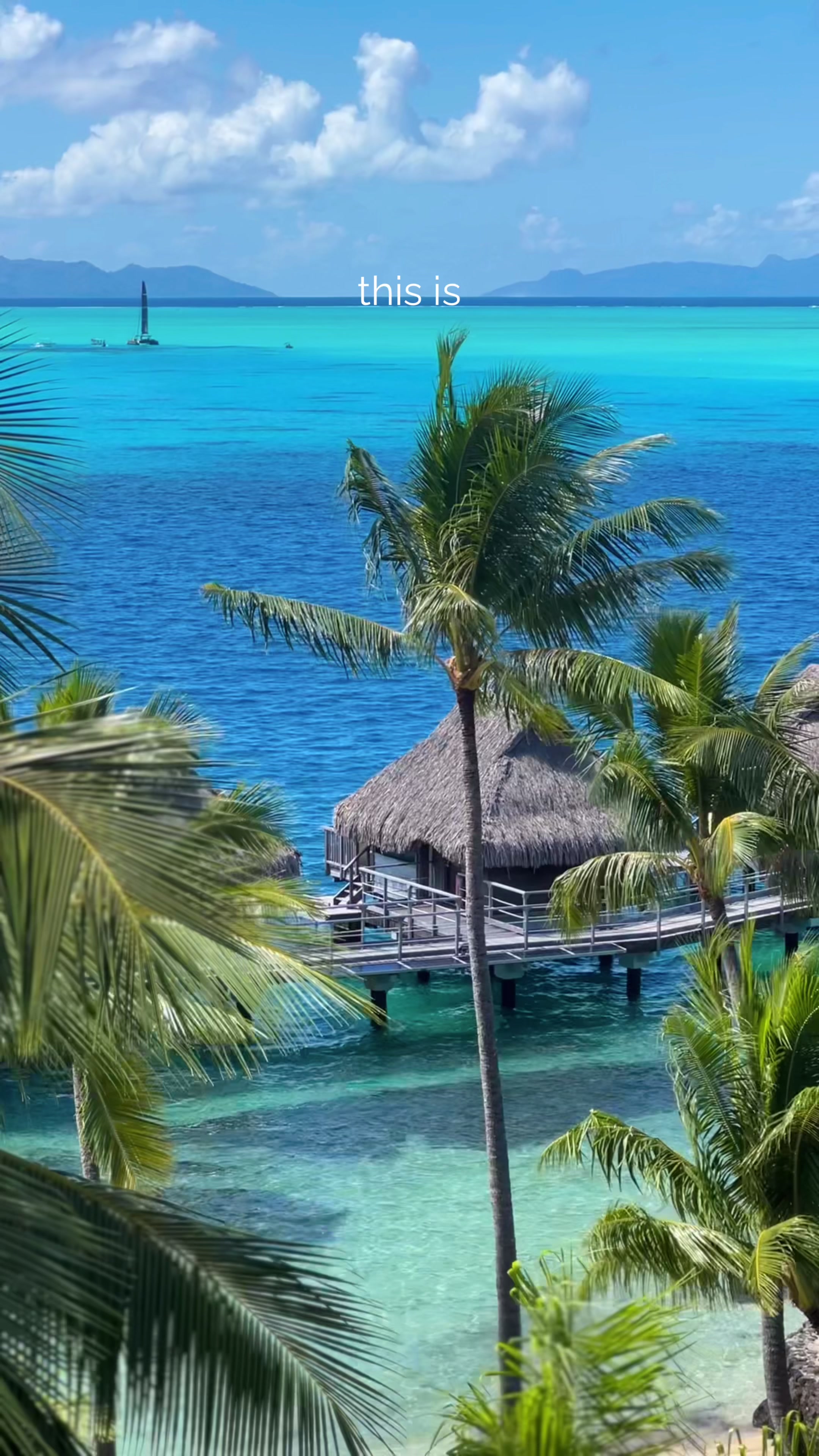 @Marine| Travel Planner Creator