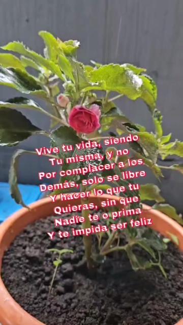 @Nivia Chavez