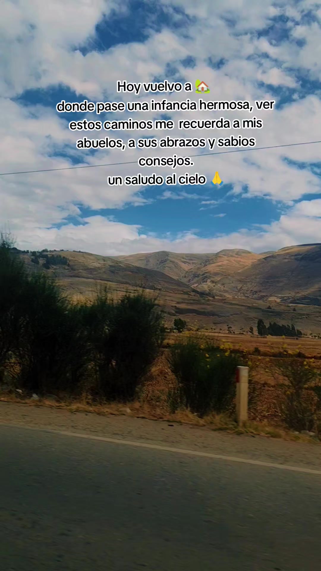 @🍀Melia_conciencia viva