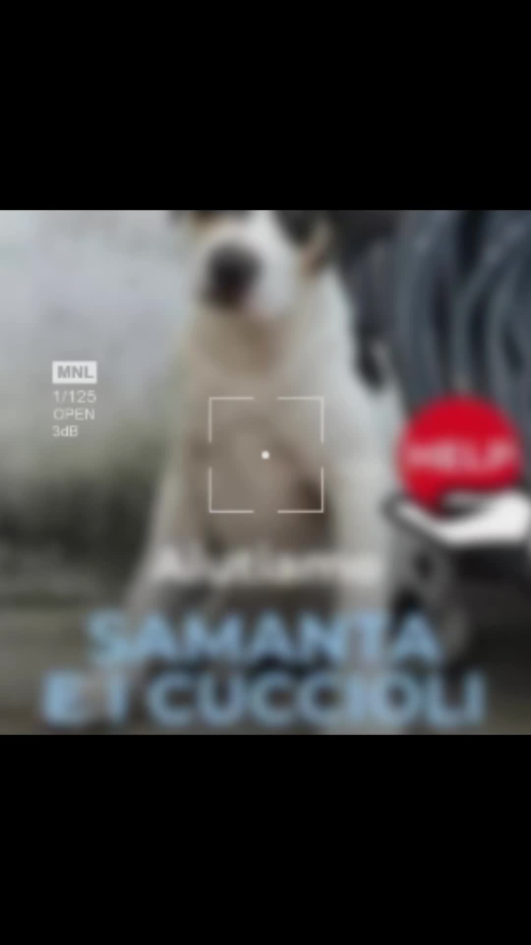 @Foglio Antipaniko