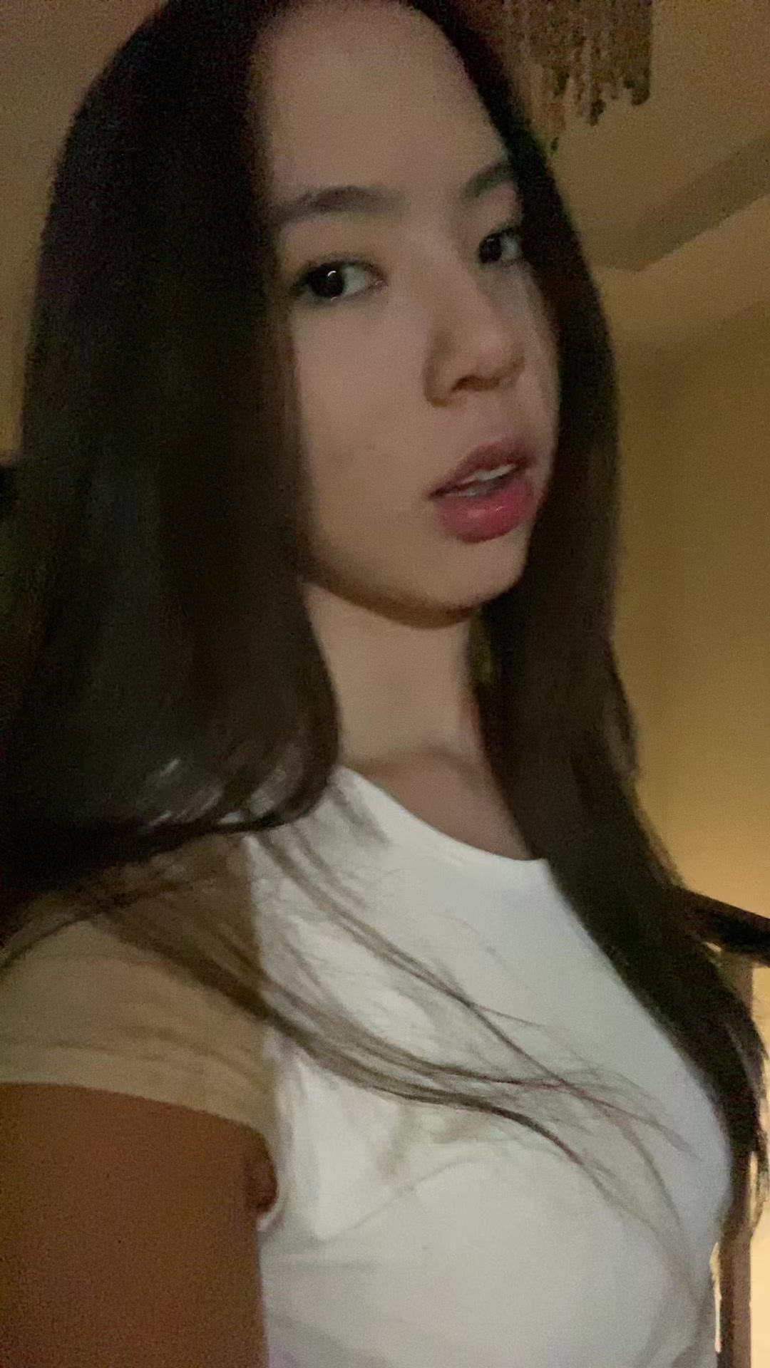 @Shattyq