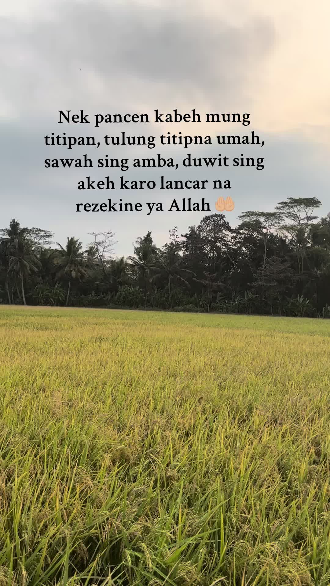 @Sandaa🐣