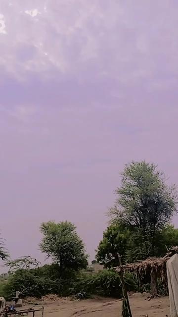 @M Pnahi Mari