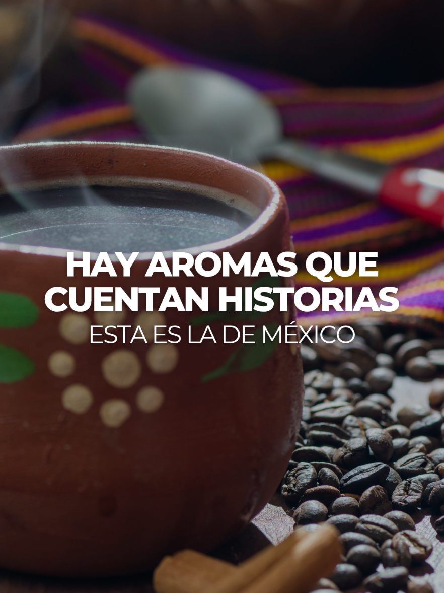 @M&eacute;xico Traveler