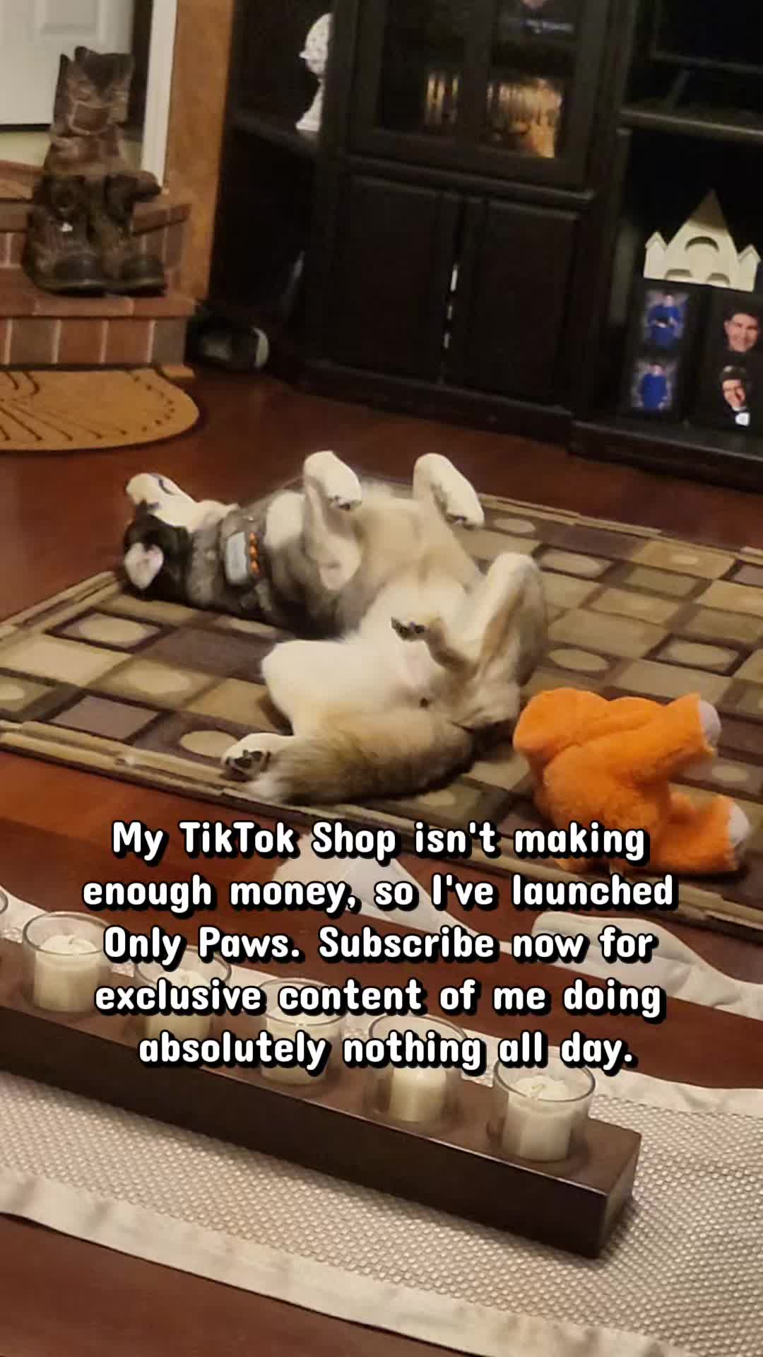 @the Hussey Husky ❌️