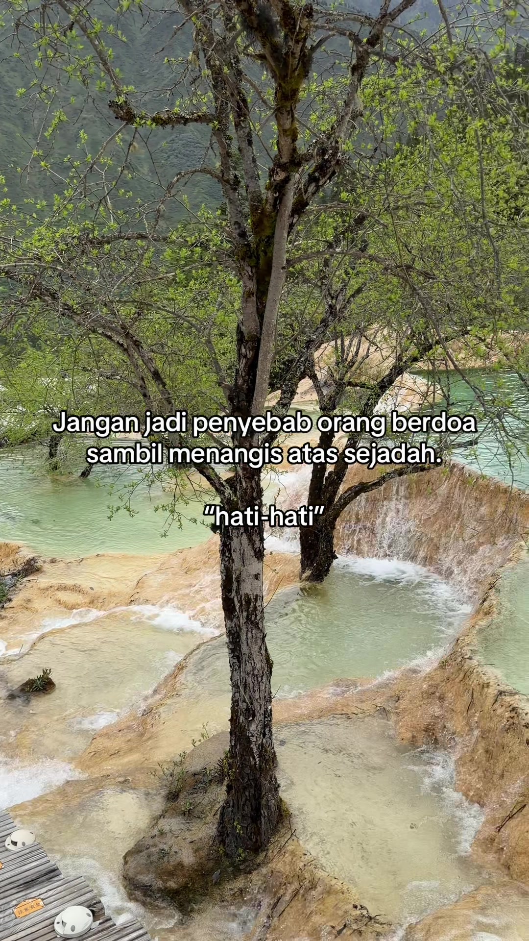 @jomtripje