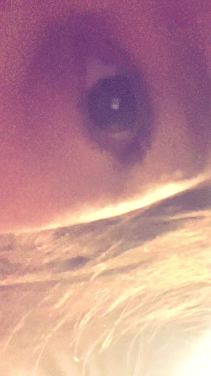 @Donnn