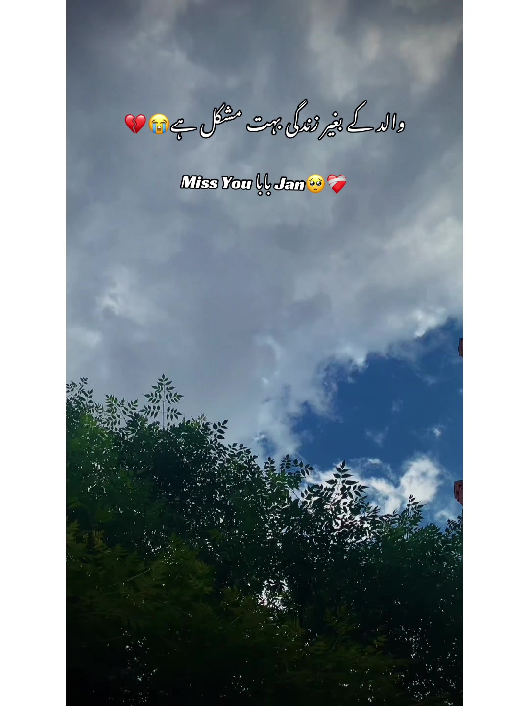 @⚜️𝐊𝐇𝐎𝐊𝐇𝐀𝐑❤️🩹