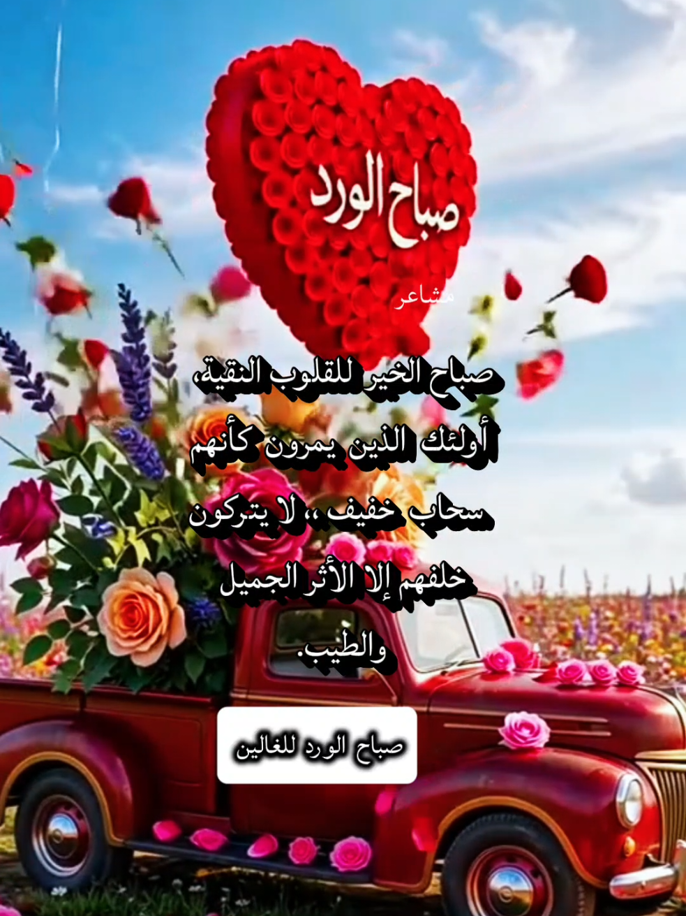 @مشاعر